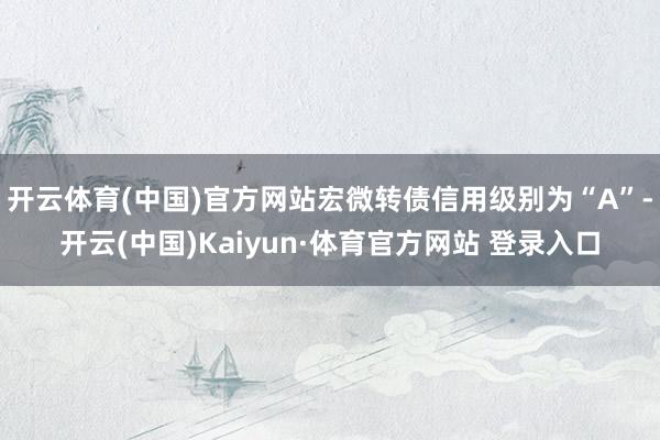 开云体育(中国)官方网站宏微转债信用级别为“A”-开云(中国)Kaiyun·体育官方网站 登录入口