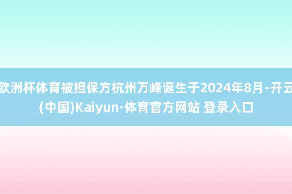 欧洲杯体育被担保方杭州万峰诞生于2024年8月-开云(中国)Kaiyun·体育官方网站 登录入口