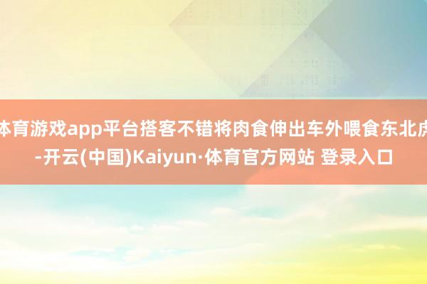体育游戏app平台搭客不错将肉食伸出车外喂食东北虎-开云(中国)Kaiyun·体育官方网站 登录入口