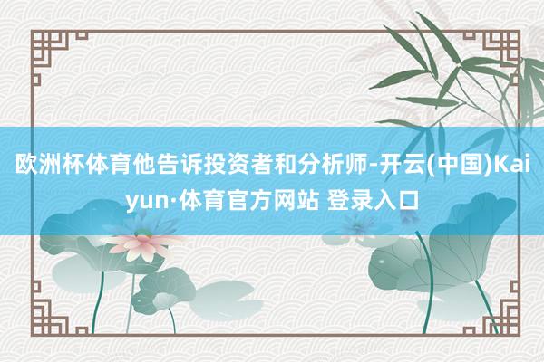 欧洲杯体育他告诉投资者和分析师-开云(中国)Kaiyun·体育官方网站 登录入口