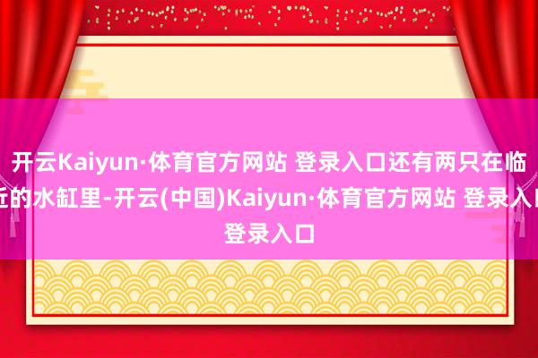 开云Kaiyun·体育官方网站 登录入口还有两只在临近的水缸里-开云(中国)Kaiyun·体育官方网站 登录入口